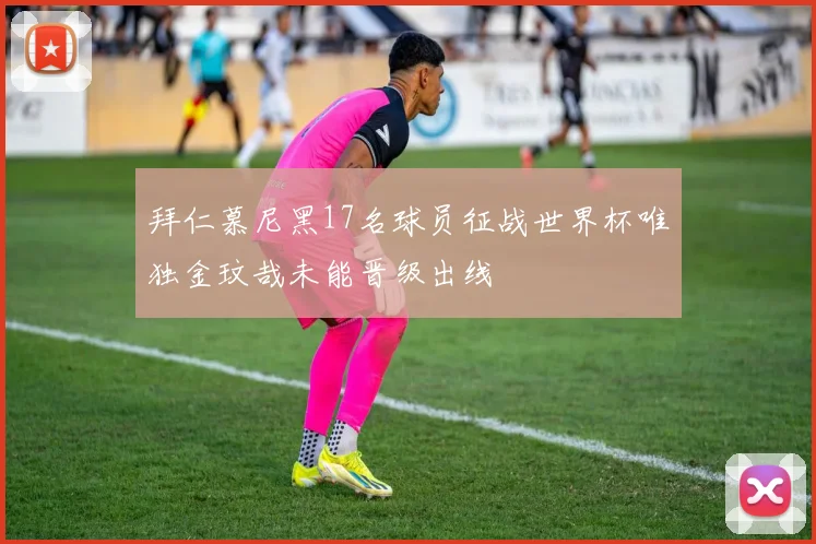 拜仁慕尼黑17名球员征战世界杯唯独金玟哉未能晋级出线