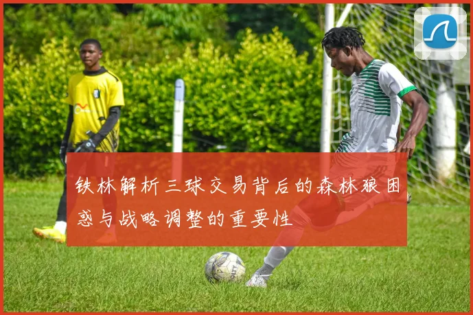 铁林解析三球交易背后的森林狼困惑与战略调整的重要性